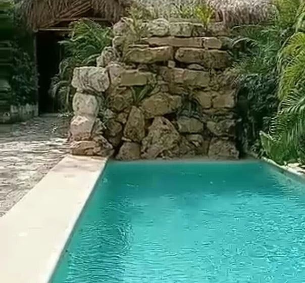 בית מלון כפרי Jungle Mansion & Cuisine