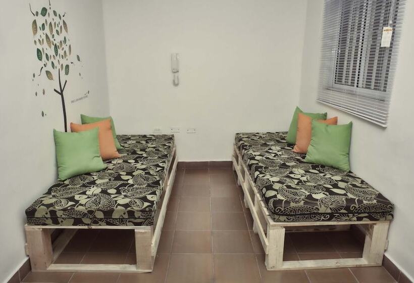 Tropica Hotel Boutique   Hostel