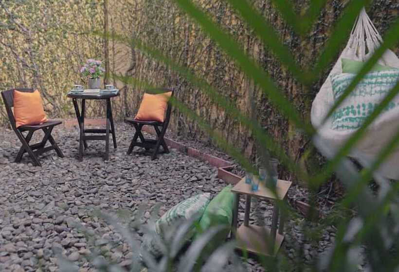 Tropica Hotel Boutique   Hostel