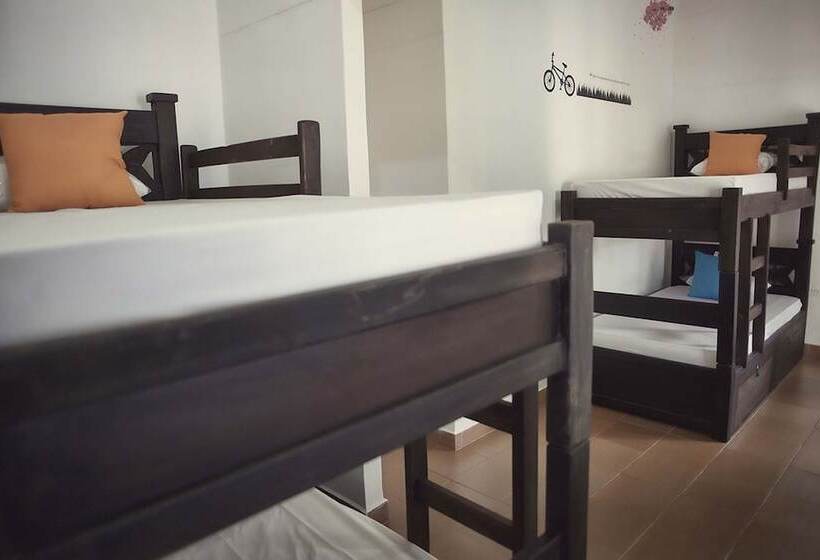 Tropica Hotel Boutique   Hostel