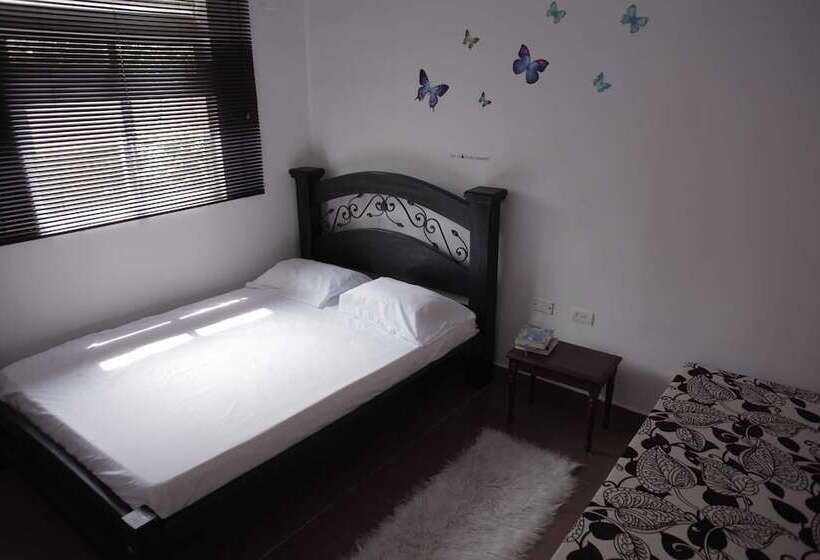 Tropica Hotel Boutique   Hostel