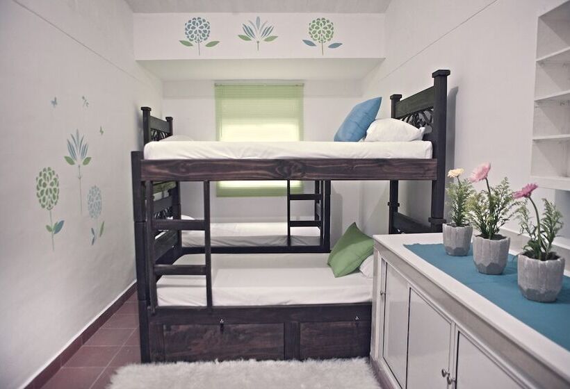 Tropica Hotel Boutique   Hostel