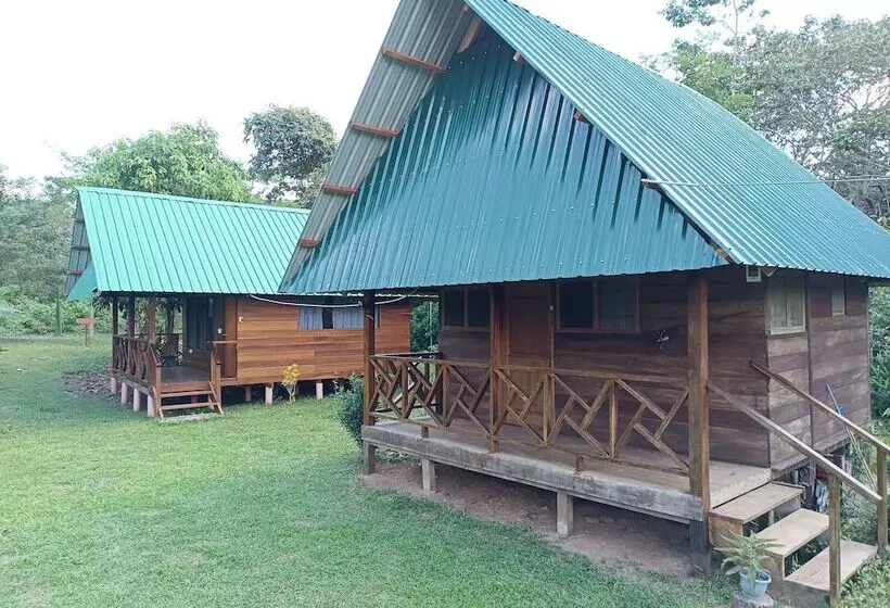 Quirquincho House