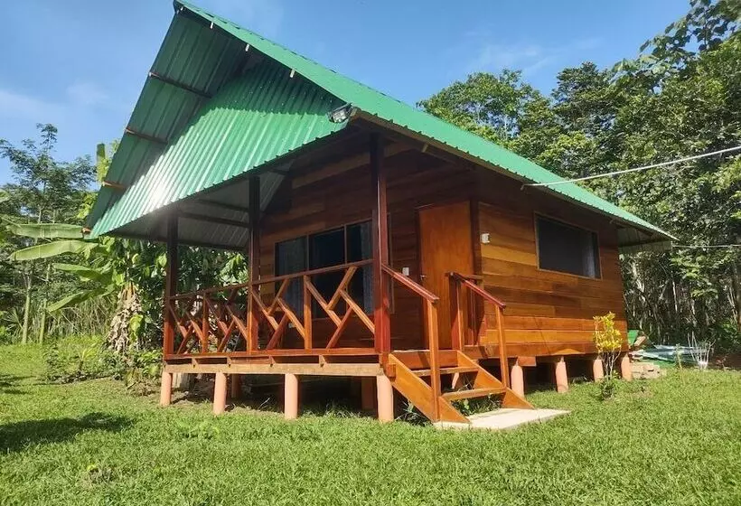 Quirquincho House