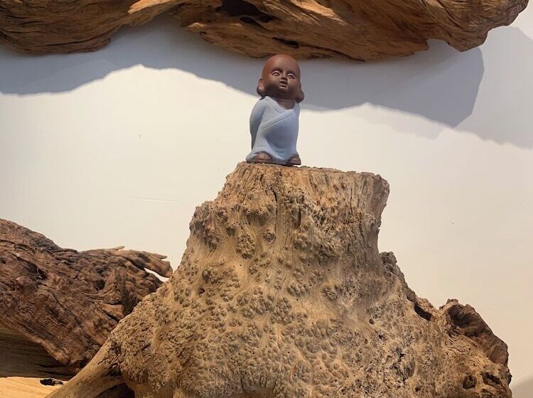 تختخواب و صبحانه Dao Fashion Villa