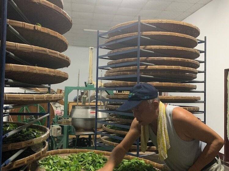 تختخواب و صبحانه Dao Fashion Villa