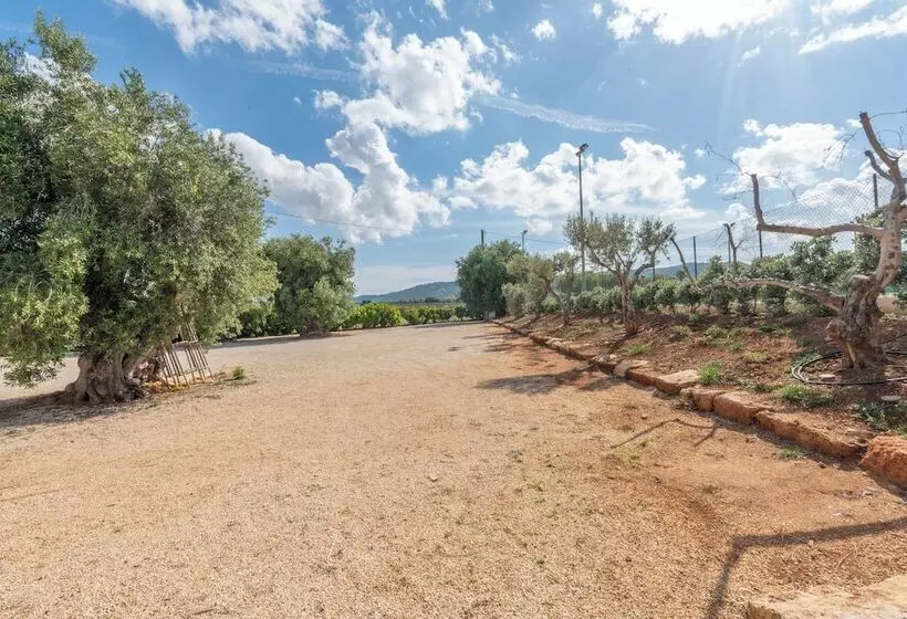 تختخواب و صبحانه Dimora Tauro