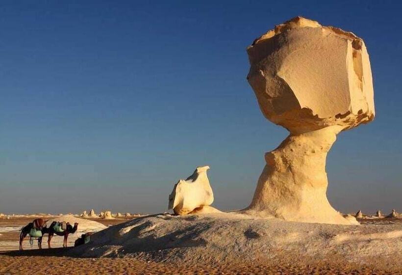 هتل El Kamel Safari