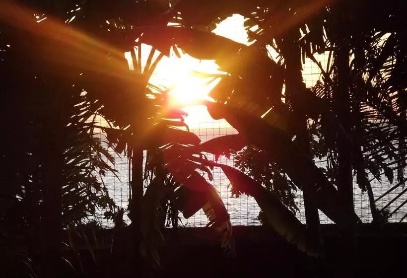 هتل Hôtel La Grillade