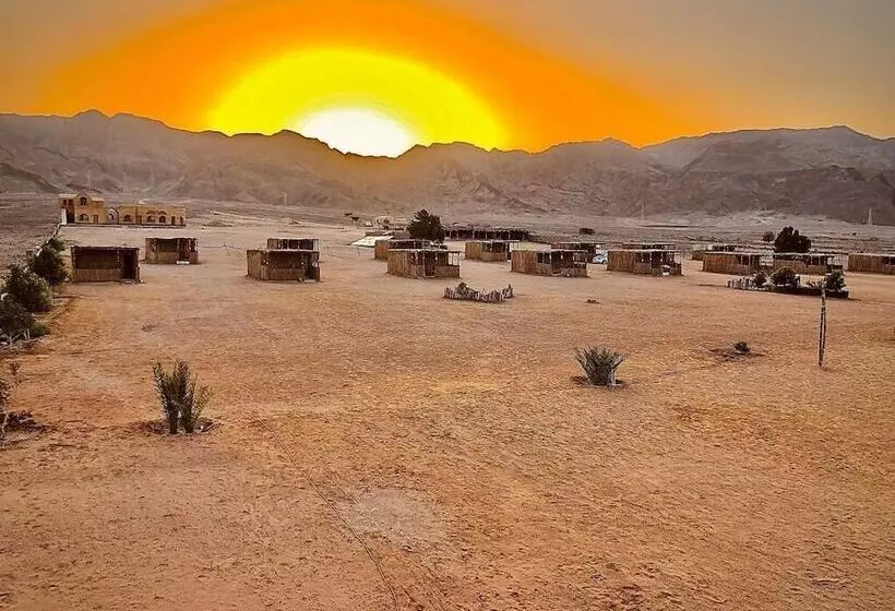 هتل Lala Land Camp Sinai