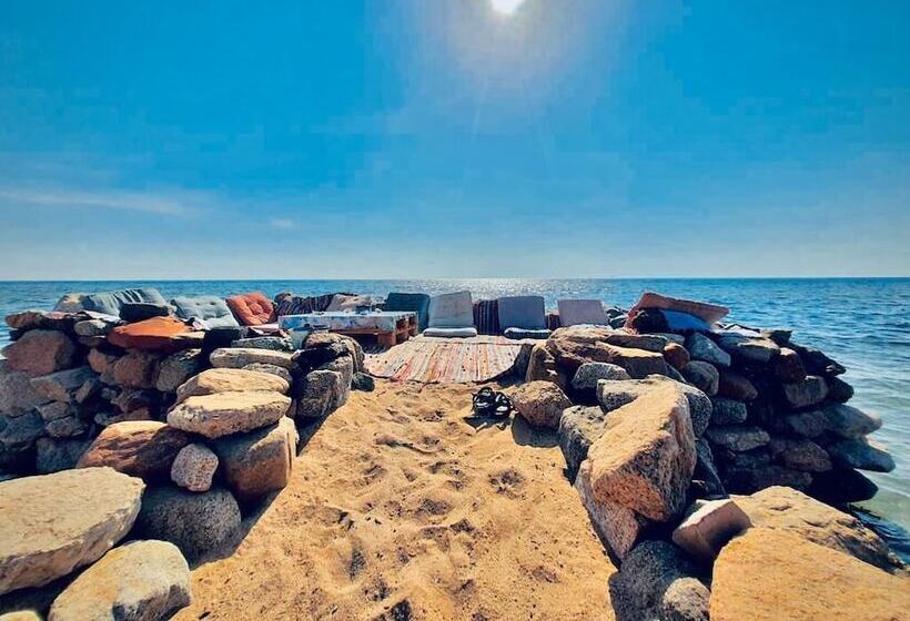 هتل Lala Land Camp Sinai