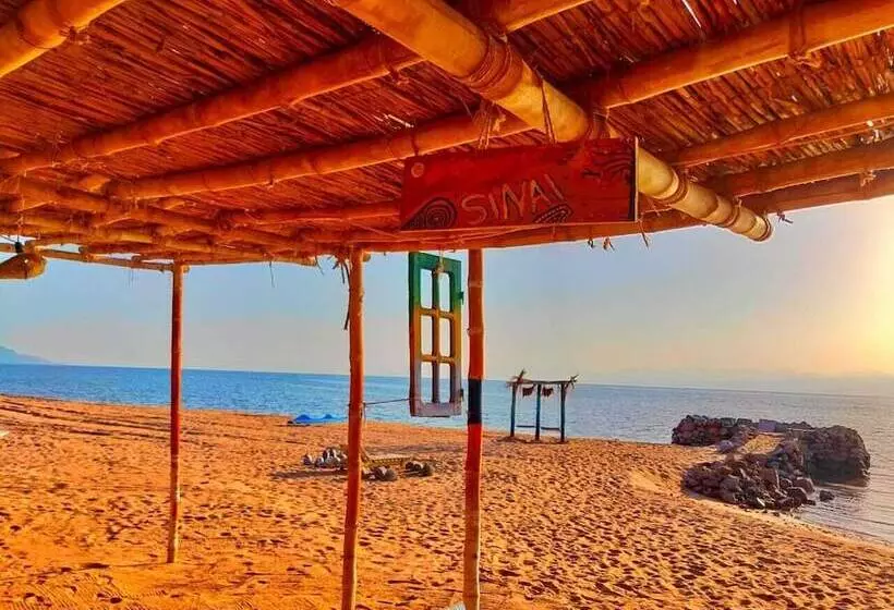 هتل Lala Land Camp Sinai