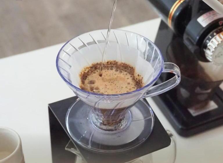 Hotel The Garden Suites New