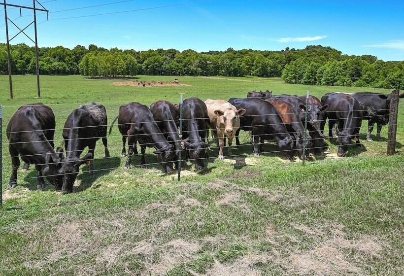 Unique Stay: Barndominium Near Rough River Lake!