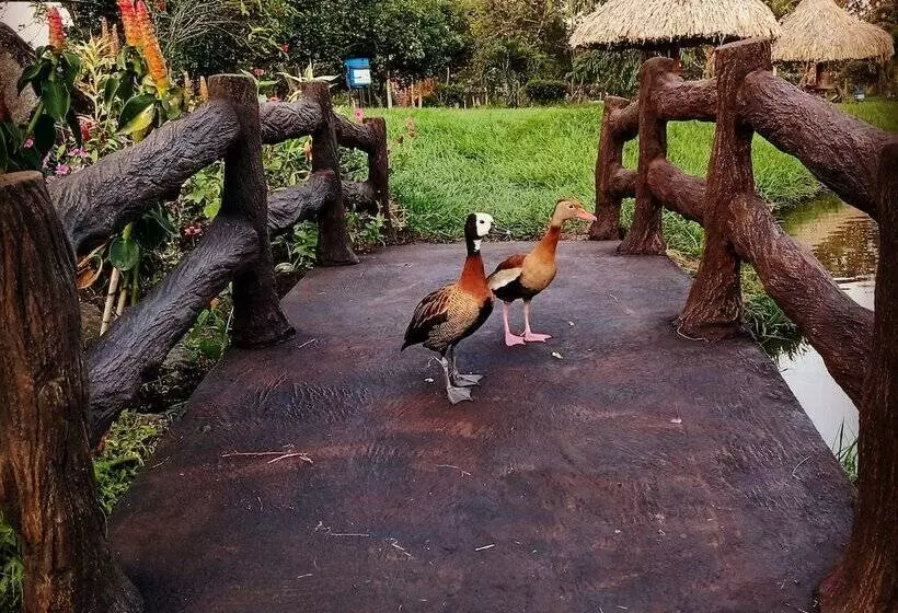 ホテル Brisas La Gaviota Mariquita Tolima