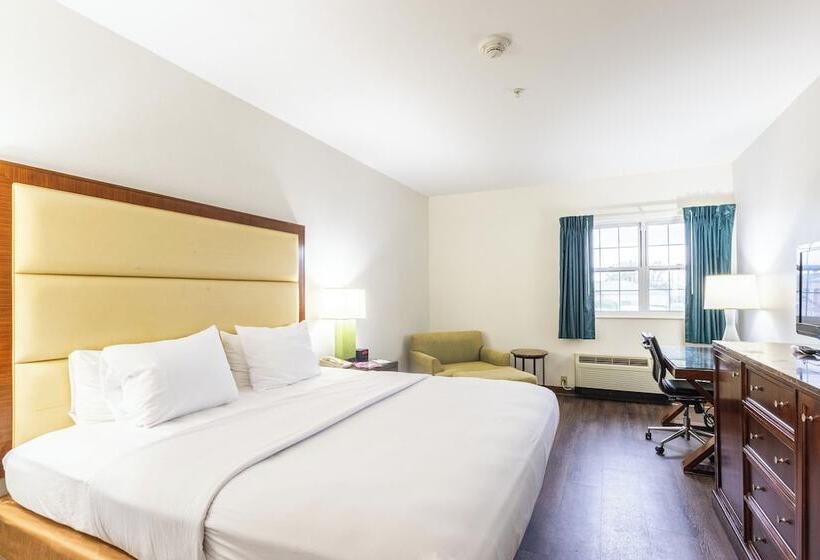 בית מלון כפרי South Branch Inn Romney