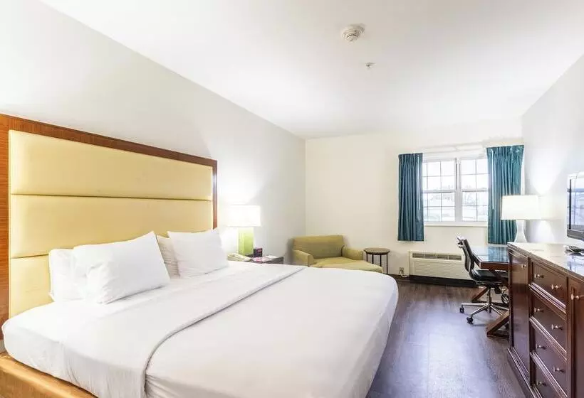 ホテル South Branch Inn Romney