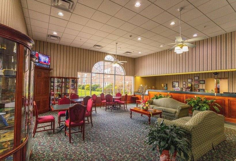 בית מלון כפרי South Branch Inn Romney