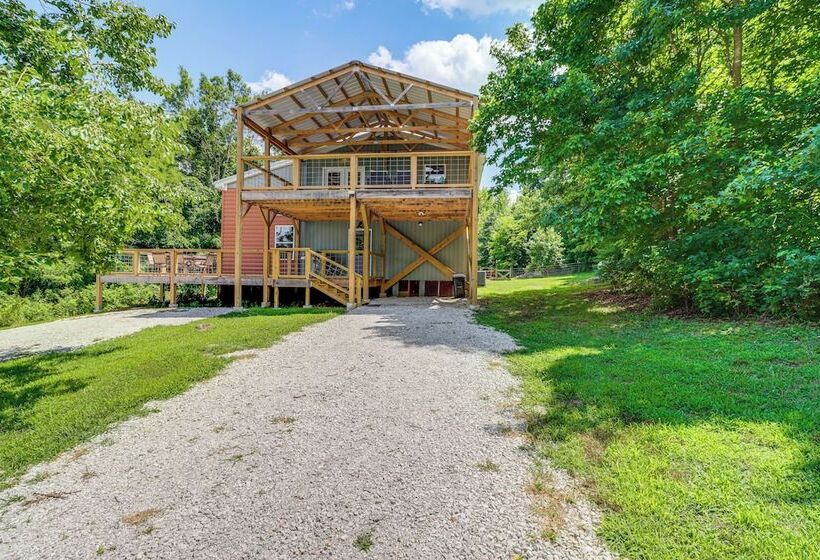 Views On 12 Acres: Ozark Mountain Cabin!