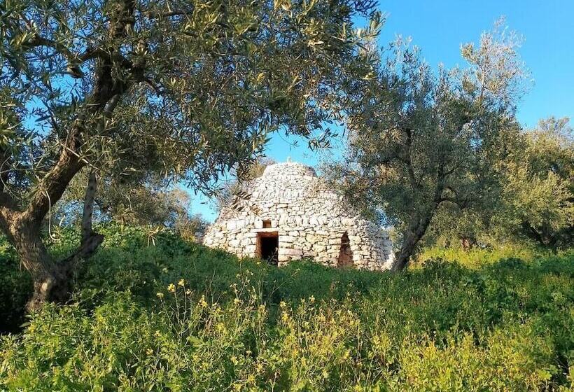 پانسیون Agricampeggio Wishne