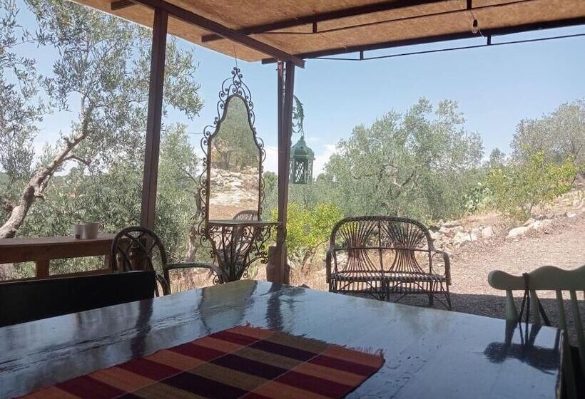 پانسیون Agricampeggio Wishne