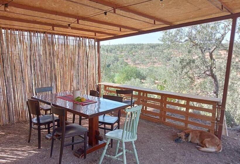 پانسیون Agricampeggio Wishne