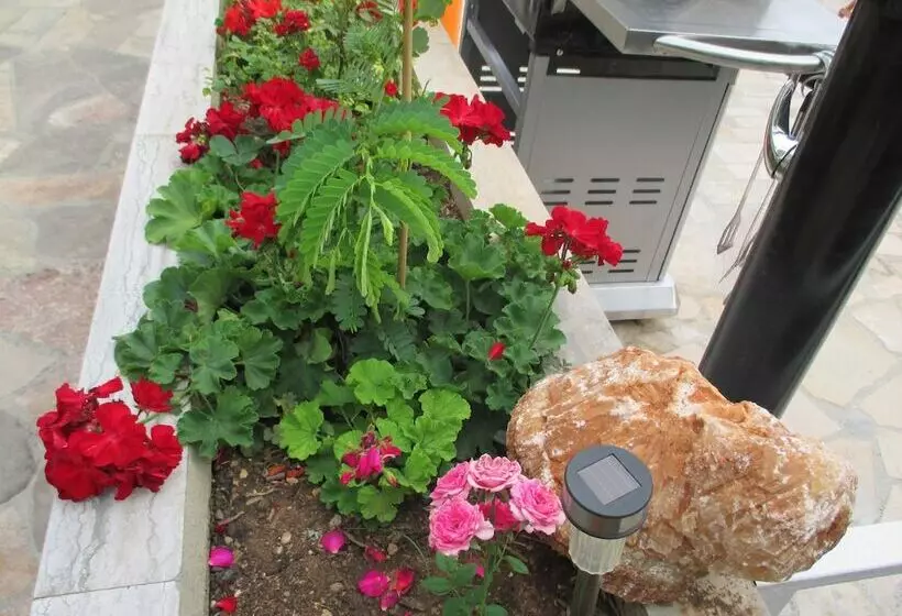 Majatalo Guest House Villa Daniel