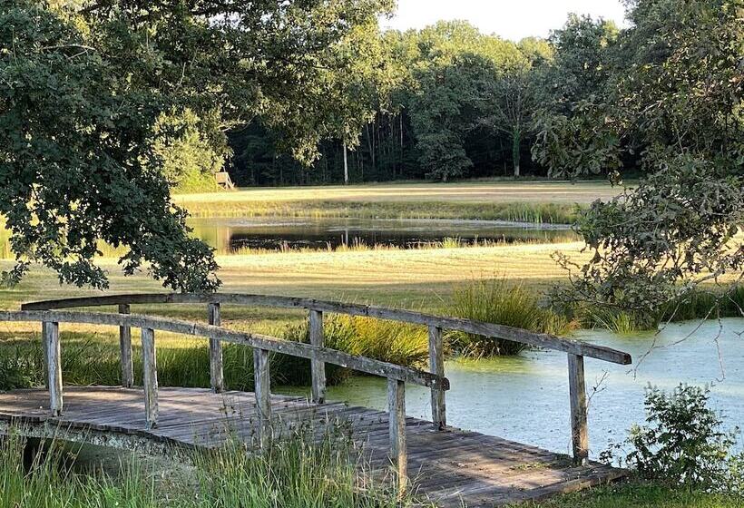 호텔 Les Hayes En Sologne