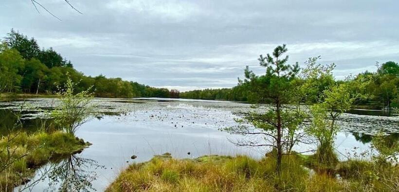 호텔 Les Hayes En Sologne