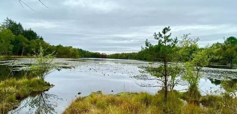 Hotelli Les Hayes En Sologne