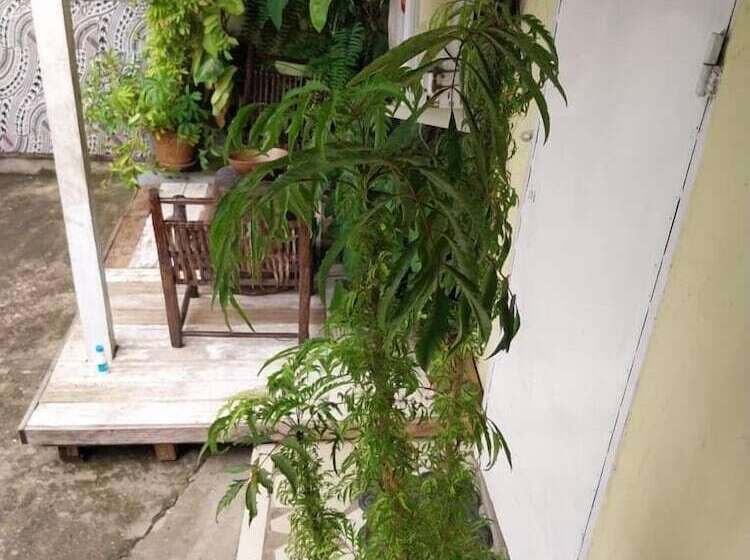 پانسیون Miss. Emily Place