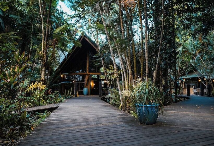 Курорт Ferntree Rainforest