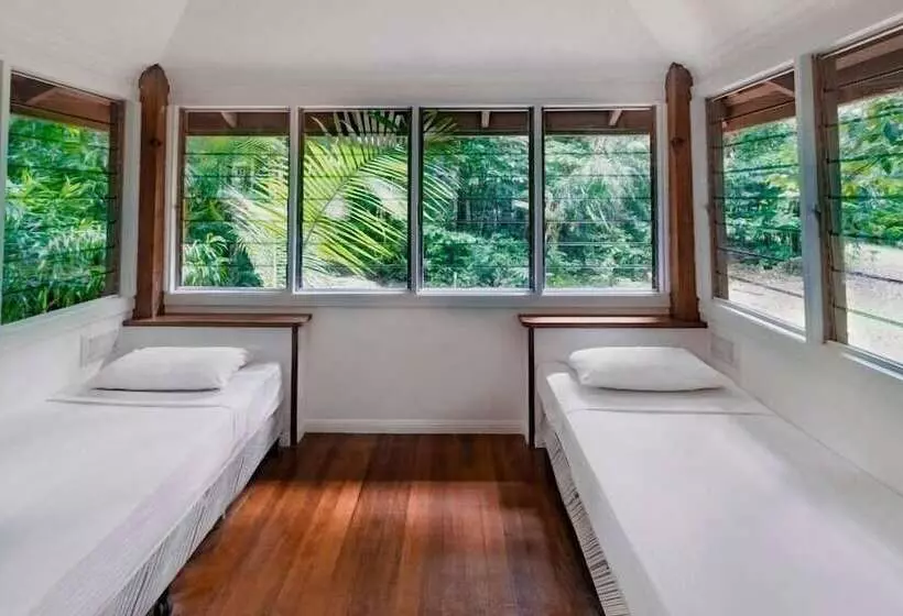 リゾートホテル Ferntree Rainforest