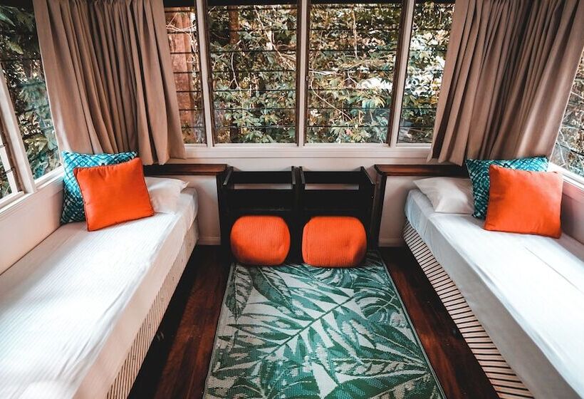 Курорт Ferntree Rainforest