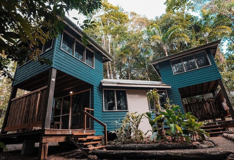 Курорт Ferntree Rainforest