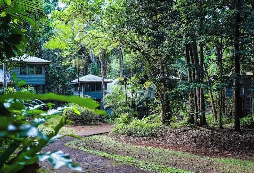 リゾートホテル Ferntree Rainforest