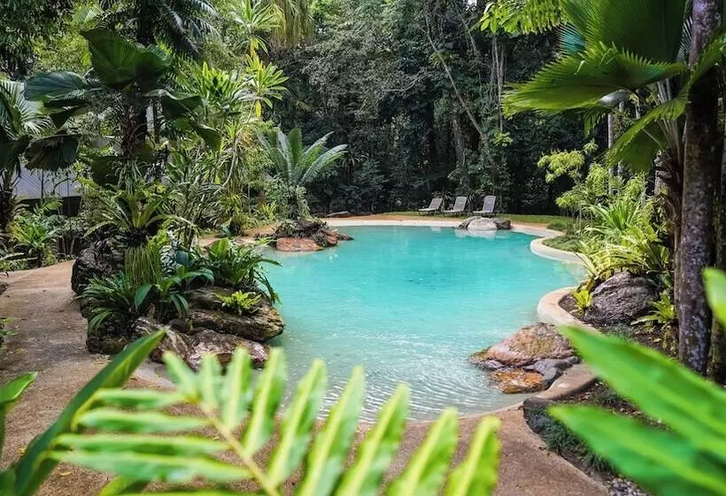 リゾートホテル Ferntree Rainforest