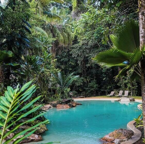 Курорт Ferntree Rainforest