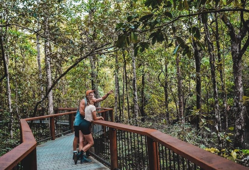 Курорт Ferntree Rainforest