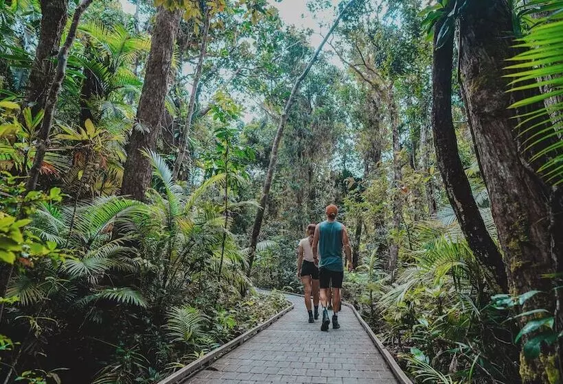リゾートホテル Ferntree Rainforest