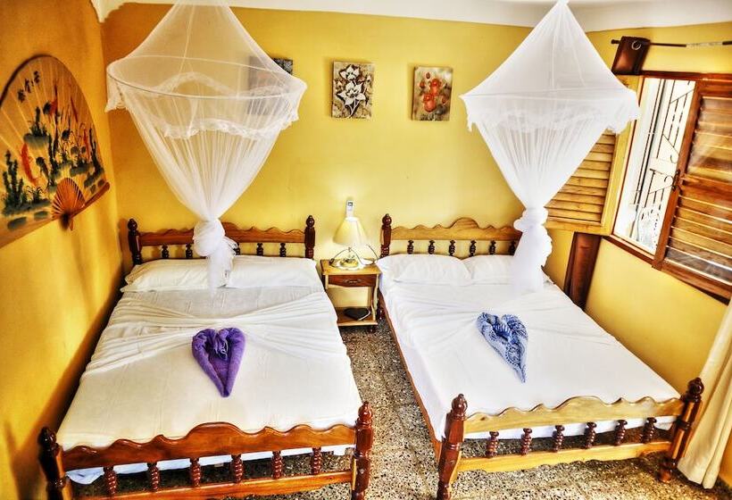 Aamiaismajoitus (B&B) Villa Tomasa