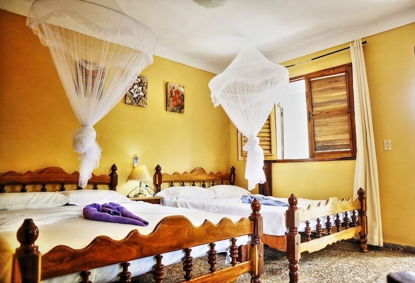 Aamiaismajoitus (B&B) Villa Tomasa