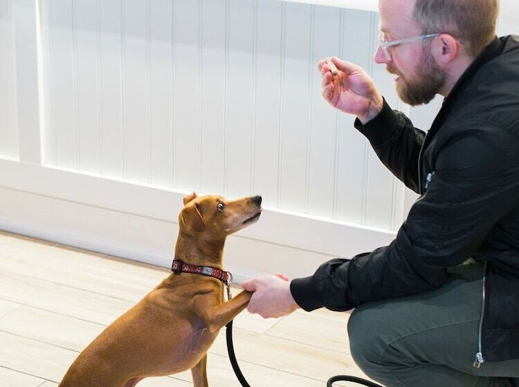 Отель Hyatt House Bwi Airport/baltimore