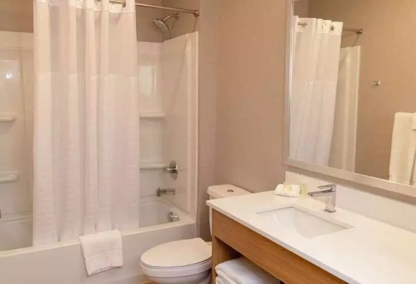 Hotelli Livaway Suites Nashville  Smyrna