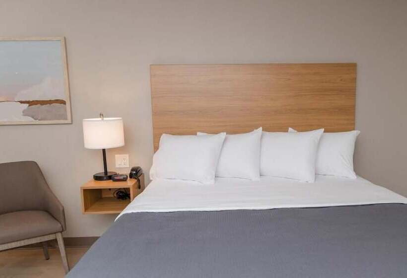 ホテル Livaway Suites Nashville  Smyrna