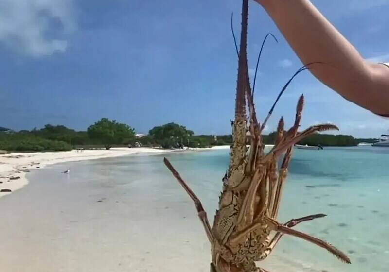 هتل Posada Guaripete