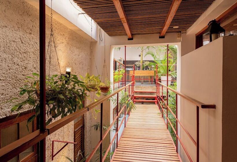 پانسیون Revolution Boutique