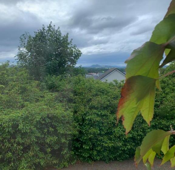 Bed and Breakfast The Old Farmhouse