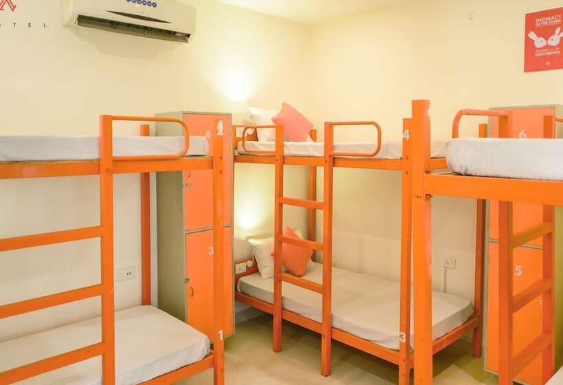 فندق صغير Zostel Jaipur