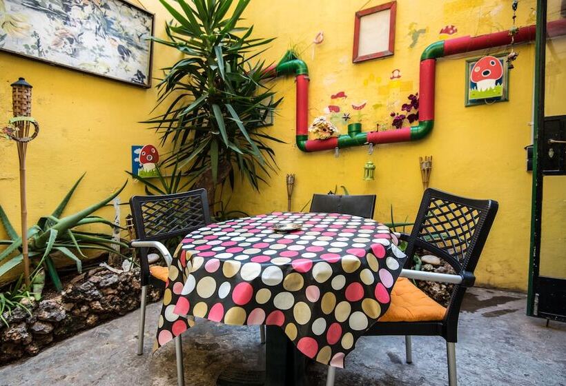 تختخواب و صبحانه Five Trees